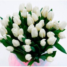 Букет из 35 белых тюльпанов 