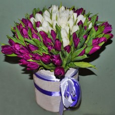 101 весенний тюльпан в коробке