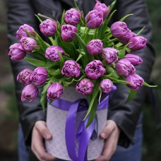 Композиция из 25 фиолетовых тюльпанов в коробке