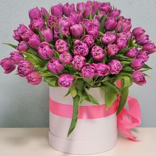 Композиция - 51 фиолетовый тюльпан в шляпной коробке