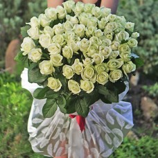 Букет из 51 белой  розы сорта "Аваланж"