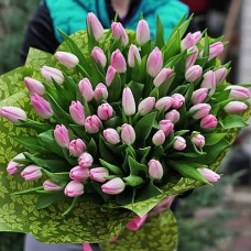 Букет из 51 тюльпана розового