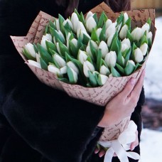 Букет из 51 белого  тюльпана